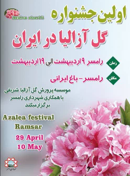 جشنواره گل آزالیا